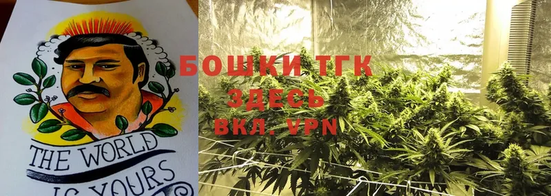 МАРИХУАНА SATIVA & INDICA  Лесной 